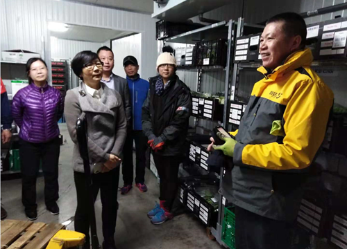 廣州僑聯(lián)主席梁瑞冰和員工親切交談，了解他們在荷蘭的生活情況