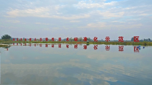 DSC_0095__副本.jpg