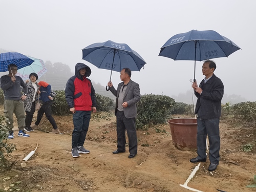 微信圖片_20211221173908_副本.jpg